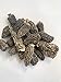 Dried Morel Mushrooms - Wild Harvest, 4oz