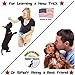 Grain Free Dog Treats Made In USA Only - All Natural, Healthy Crunchy Turkey Sticks Dogs Love! (16 Ounces)