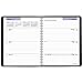 DayMinder Weekly Planner / Appointment Book 2017, Executive, 6-7/8 x 8-3/4