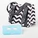 Fit & Fresh Women's Venice Insulated Ice Pack Stylish Adult Lunch Bag, Plum & White Chevron