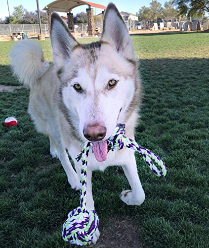 ROPE DOG TOYS FOR SMALL DOGS AND MEDIUM DOGS - BENEFITS NONPROFIT DOG RESCUE - DOG CHEW TOYS FOR SMALL AND MEDIUM BREEDS - COTTON DOG TOYS FOR BOREDOM - Thumbnail 2