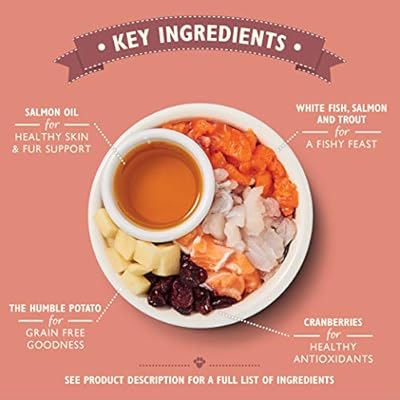 lily's kitchen fabulous fish