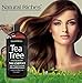 Natural Riches Tea Tree Shampoo 16 fl oz - Special Tea Tree Oil Shampoo Fights Dandruff with Pure Tea Tree Oil for Dry Hair, Itchy Scalp, lice, with Pure Lavender, Peppermint, Sulfate & Paraben Free