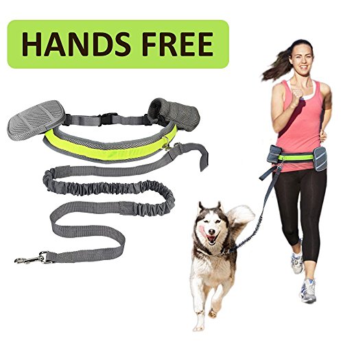 Boxlegend Hands Free Dog Leash Elastic With Reflective Stripe, Adjustable Waist Belt And Flexible Bungee Belt (6097777592696)