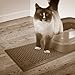 Petlinks Purr-Fect Paws Cat Litter Mat, Large, Tan