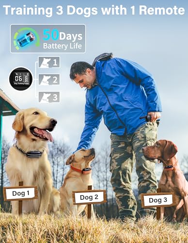 PaiPaitek 2-in-1 Dog Bark Collar and Shock Collar with Remote 3300ft Range - 5 Adjustable Sensitivity Levels, IP67 Waterproof Training Collar for Medium Large Dogs (40-150 lbs) | Indoor & Outdoor Use