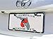 Stainless Steel License Plate Frame Kit with Mirror Polished Finish Will Never Rust or Corrode Includes US/Import Style Steel hardware 4 Hole Frame - Standard Style (easier to remove) By DFDM National