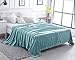 LBRO2M Fleece Bed Blanket Queen Size Super Soft Warm Fuzzy Velvet Plush Throw Lightweight Cozy Couch Blankets ((90x90 Inch) Turquoise