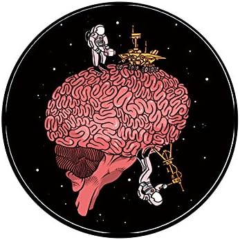 Expanding Stand and Grip for Phones or Tablet - Zoo et Be - Brain Science