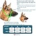 Gentle Muzzle Guard for Dogs - Prevents Biting and Unwanted Chewing Safely – New Secure Comfort Fit - Soft Neoprene Padding – No More Chafing – Training Guide Helps Build Bonds with Pet (M, Blue)