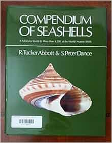 Compendium Of Seashells A Color Guide To More Than 4 200