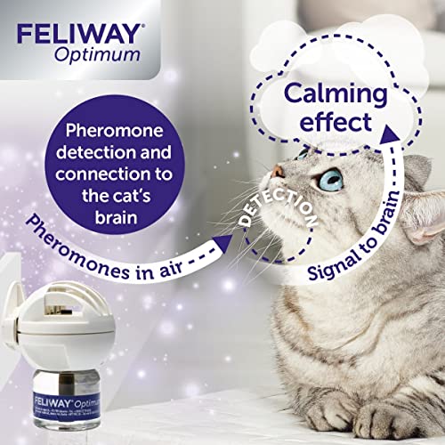 Feliway Optimum Refill,Purple,Package may vary, 3 Count (Pack of 1)