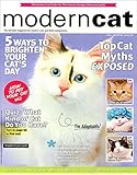 Modern Cat