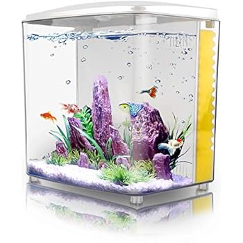FREESEA 1.4 Gallon Betta Aquarium Starter Kits Square Fish Tank with LED Light and Filter Pump