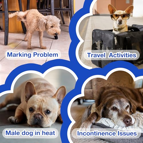 MICOOYO Disposable Male Dog Diapers, Super Absorbent Male Dog Panties, Dog Diapers with Moisture Indicator (S, Pack of 50)
