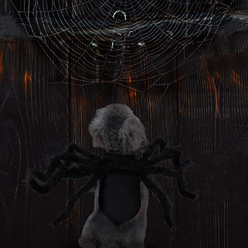 RYPET Dog Spider Costume Halloween Spider Costume for Small to Medium
