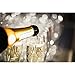 Mr. & Mrs. Gold Champagne Flutes With Gift Box - Wedding Glasses For Bride & Groom - Toasting Gift Sets - For Couples - Engagement, Wedding, Anniversary