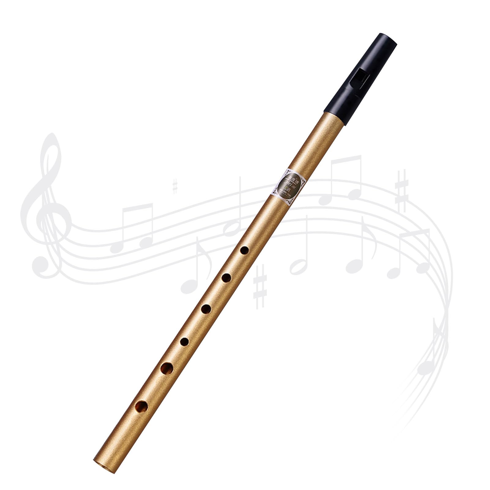 penmol Tin Whistle Penny Whistle Six-holed Tin Whistle D,D Tin Whistle Perfect for Traditional Celtic Music (Black)