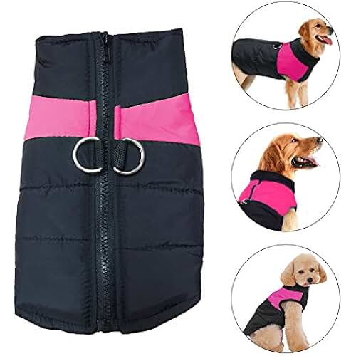 anxiety harness for dogs