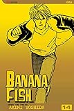Banana Fish, Vol. 14 (14) by