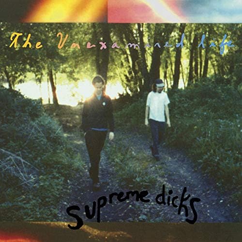 Vaselines - The Way of the Vaselines-A Complete History - Amazon
