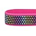 Blueberry Pet 9 Patterns Magic Rainbow Color Reflective Polka Dot Holo Dog Collar in Passion Pink, Large, Neck 18