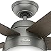 Hunter Fan Company, 59267, 46 inch Anslee Matte Silver Ceiling Fan with LED Light Kit and Pull Chain