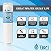 Tier1 MSWF Refrigerator Water Filter | Replacement for GE MSWF SmartWater 101820A, 101821B, MSWFDS, WF282, EFF-6022A, SGF-G23, AP3997949, Fridge Filter