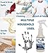 Chem-Girl | ALL MIGHTY Super Strength Biodegradable Spot & Stain Remover + Multi-Surface Spray Cleaner for Tough Indoor/Outdoor Jobs | Ready-To-Use Formula - 1 Quart