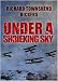 Under a Shrieking Sky