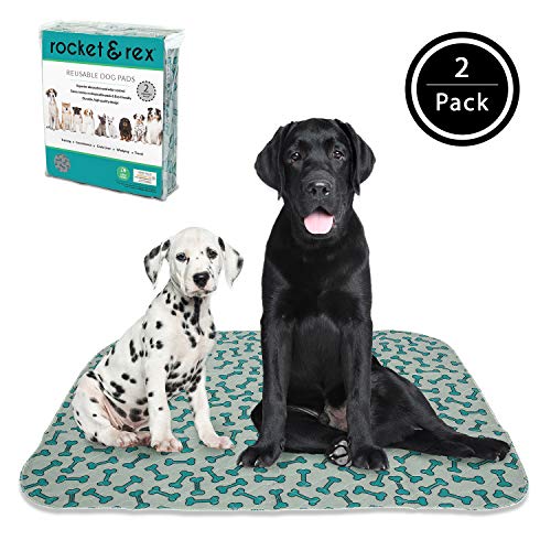 disposable pads for dogs