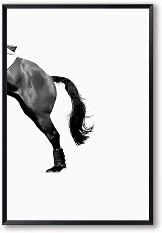 Qzq Resumen Momento Ecuestre Momento Minimalista Moderno