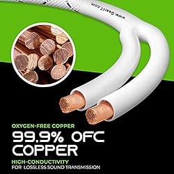GearIT 10AWG Speaker Cable Wire with Gold-Plated