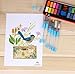Water Brushes Water Brush Pen Pens Watercolor Pen Prush Watercolor Brushes Pens Set of 6 Brush Tips for Water Coloring Painting Water Color Markers Powdered Pigment Watercolor Paints for Kids School