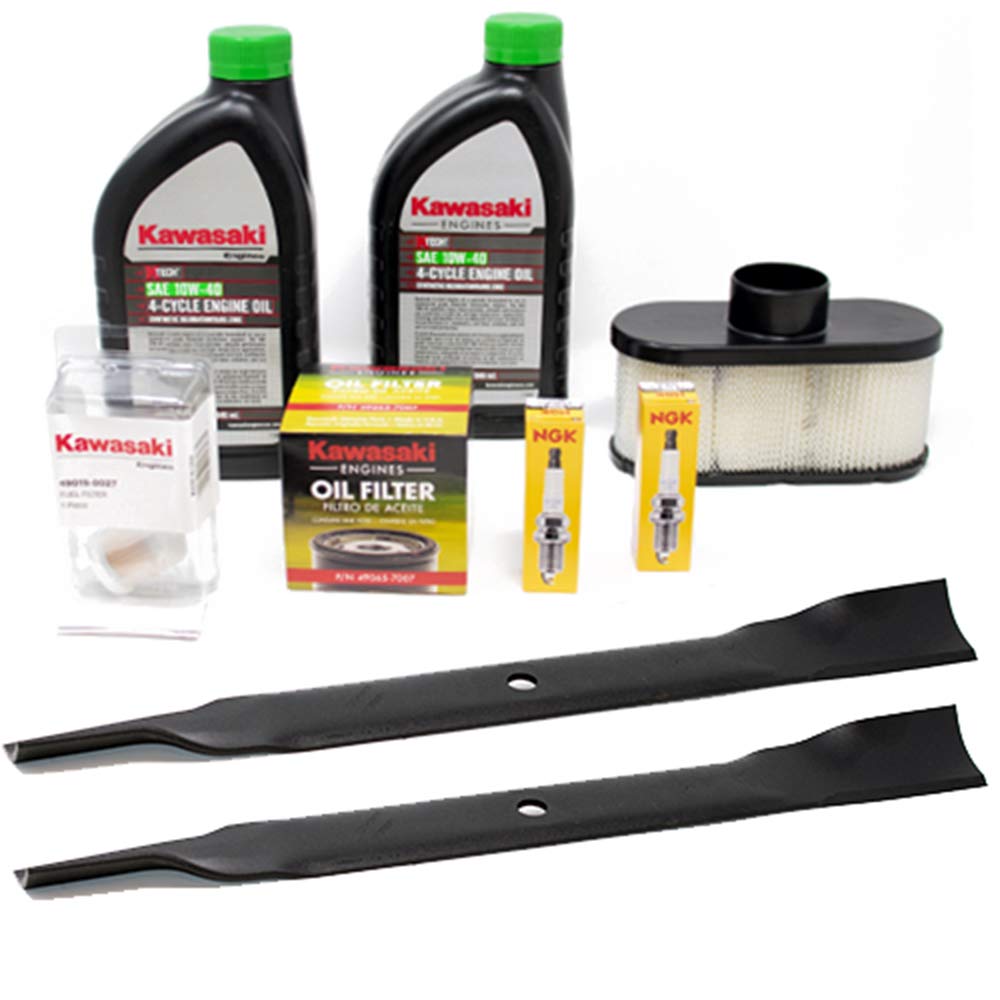 Best Toro Lawn Mower Gas