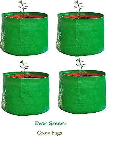 Evergreen Terrace Gardening Leafy Vegetable Green Grow Bag (15 X 15 ) - (Pack Of 4 )