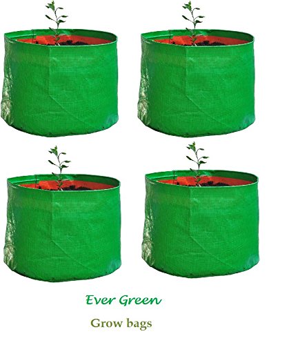 Evergreen Terrace Gardening Leafy Vegetable Green Grow Bag (15" X 15 ") - (Pack Of 4 )