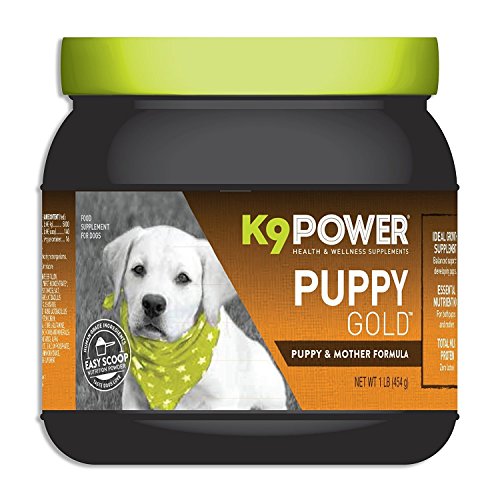 best dog bowl mats for your messy pup Placemat for dog bowls (cappuccino)