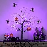 MEETYAMOR Halloween Decorations Indoor, 24”/2FT