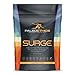 PALEOETHICS Surge Natural High Performance Paleo Friendly Pre Workout, Natural Citrus Flavor, 4.62 oz, 131 grams