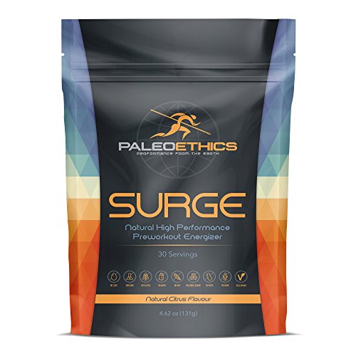 PALEOETHICS PE Sport Surge Natural High Performance Paleo Friendly Pre Workout Energizer, Natural Citrus Flavor, 4.62 Ounce (30 Servings)