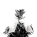 12inch Mini Desk Top Table Top Decorated Christmas Tree with Bows & Baubles Ornaments Decorations, Black