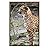 signwin Framed Canvas Wall Art Cheetah Animals Cheetah Dramatic Living Room Multicolor Photography - 16x24 inches