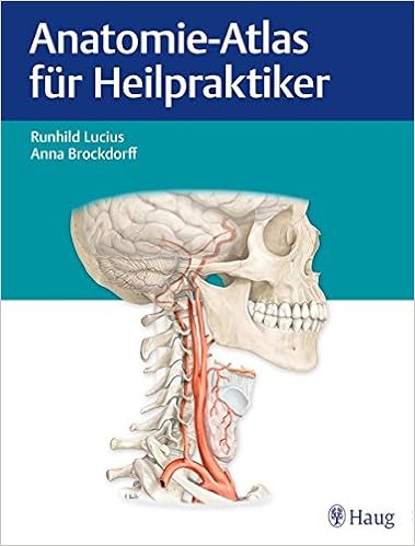 Anatomie Atlas Fur Heilpraktiker Mit Erklarenden Texten Fur Prufung Und Praxis Amazon De Lucius Runhild Brockdorff Anna Bucher Anatomie Atlas Fur Heilpraktiker Mit Erklarenden Texten Fur Prufung Und Praxis Amazon De Lucius Runhild Brockdorff Anna Bucher