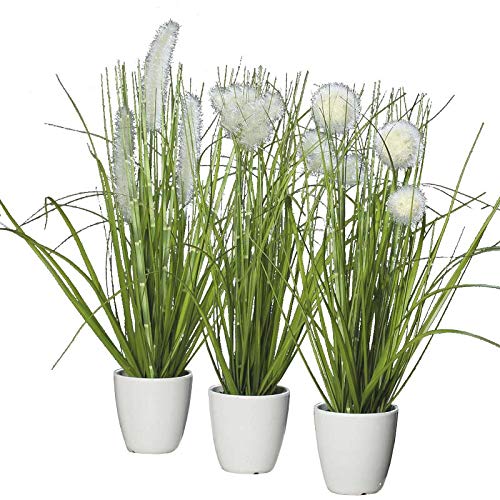 Artificial Plant Potted - 3 Pieces - Height: 36 cm - Colour: Green/Cream - Green Plant/Table Decoration