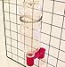 Rite Farm Products 4 Pack in 4 Colors Soda Pop Water Bottle Bird Drinker Cup & Spring Quail Dove Chicken Pigeon