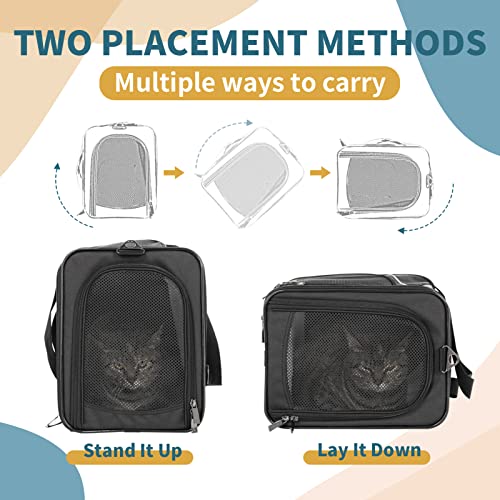 Petsfit TwoWay Placement Pet Carrier Airline Approved, Cat Carriers