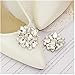 Ruihfas Fashion Shining Crystal Shoes Clip Women's High Heel Rhinestone Shoe Buckle Decoration,1 Pair (White)