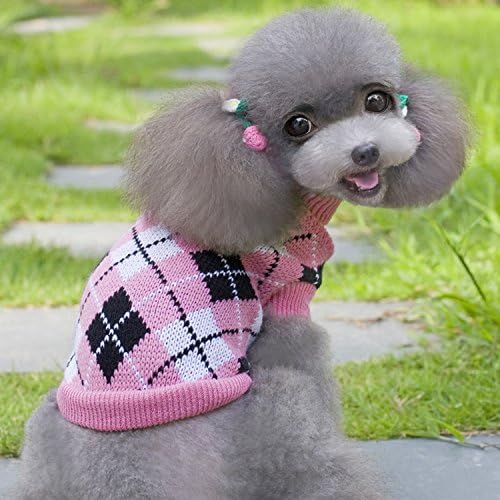 amazon venta de perros