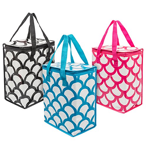 E Reusable Cooler Bags Colorful Collapsible Insulated Zippered